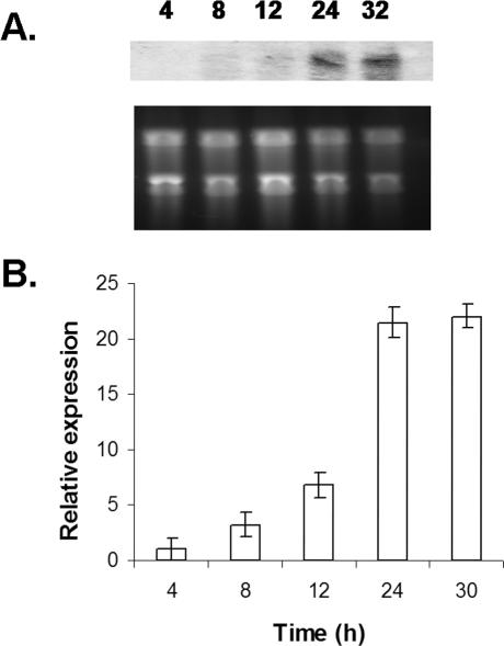 Figure 3.