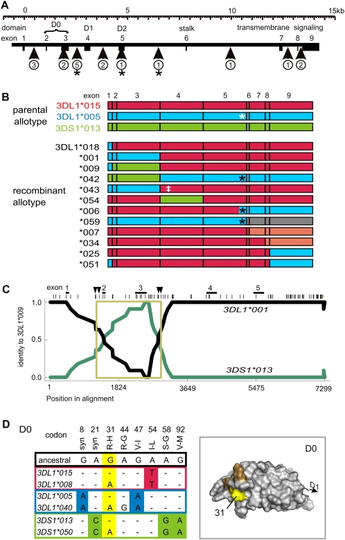 Figure 2.