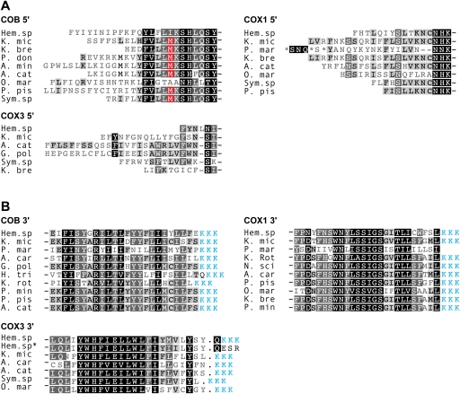 FIG. 2.—