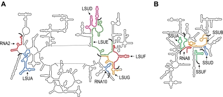 FIG. 4.—