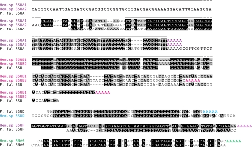 FIG. 3.—