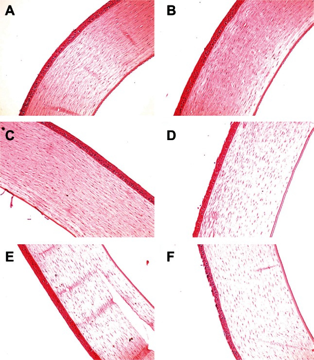 Figure 8