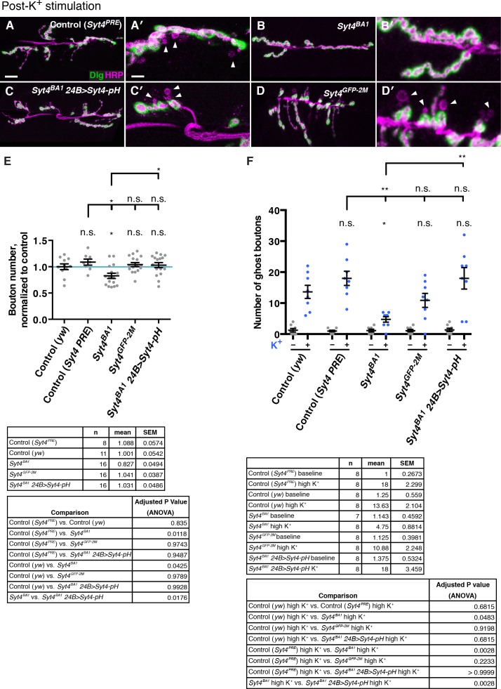 Figure 1—figure supplement 1.