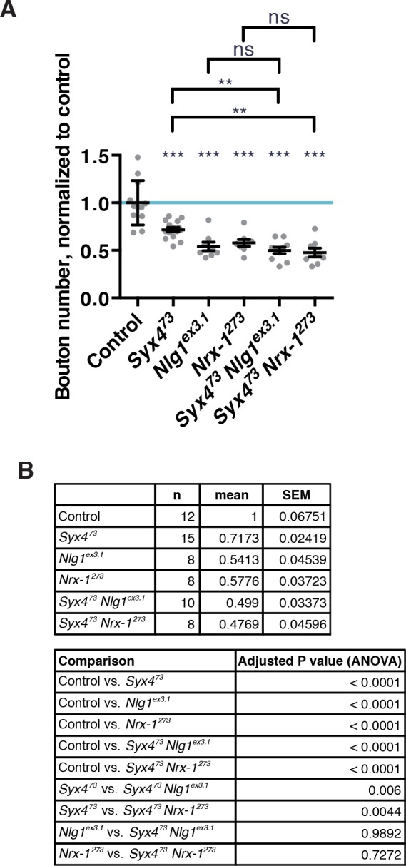 Figure 5—figure supplement 2.