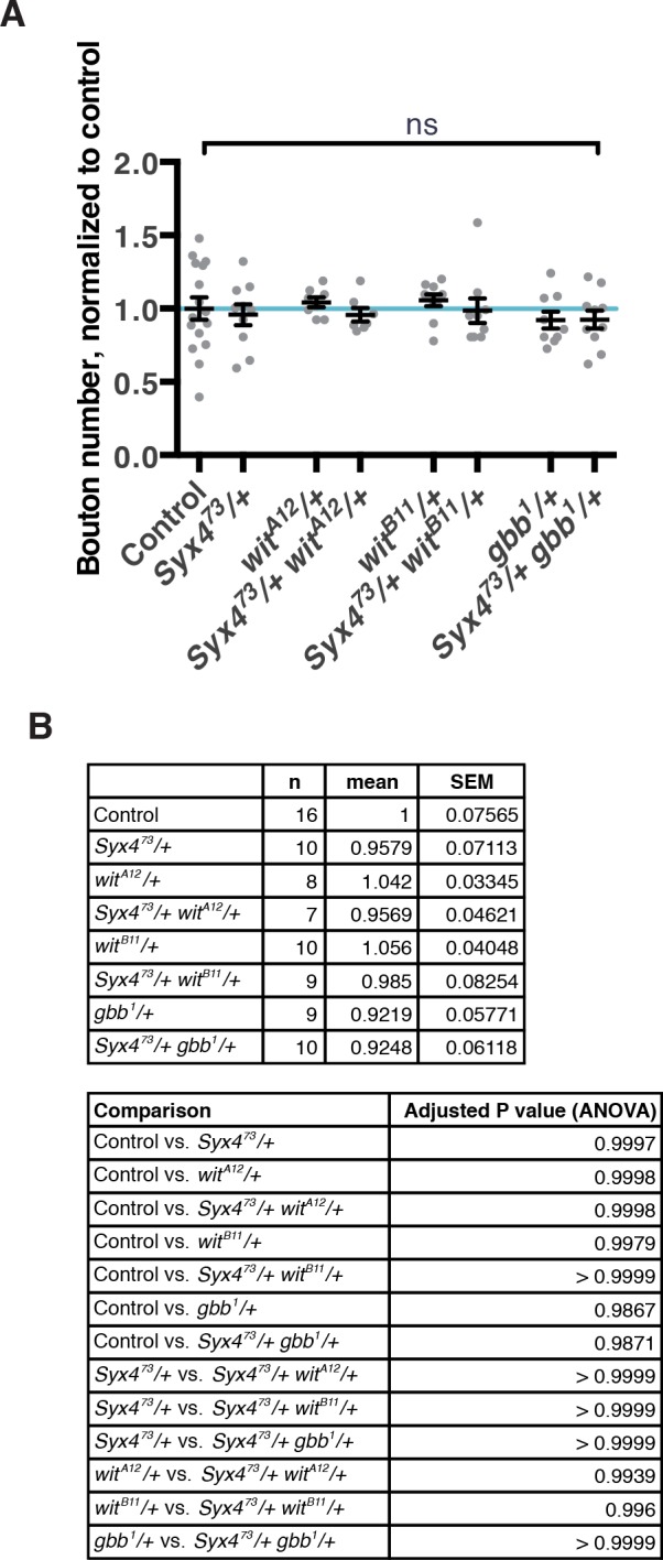 Figure 5—figure supplement 1.