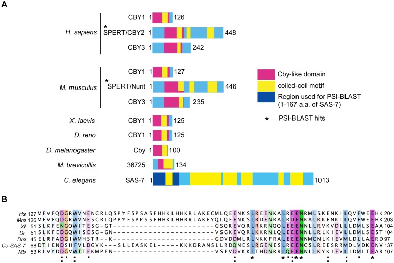 Figure 1—figure supplement 3.