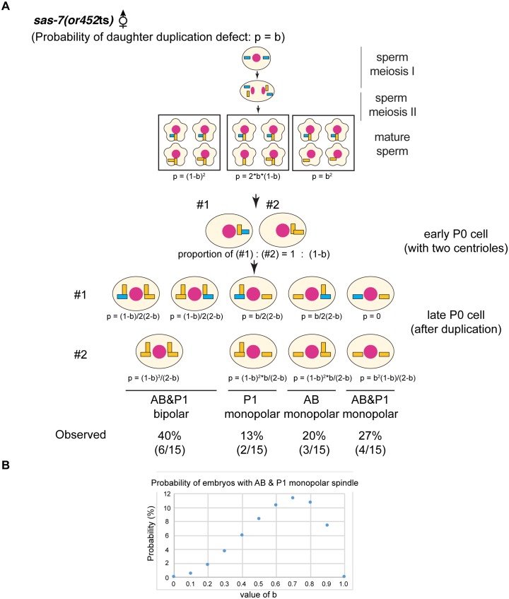 Figure 3—figure supplement 1.