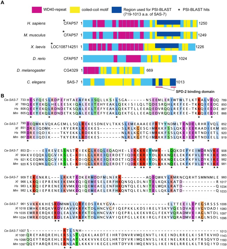 Figure 1—figure supplement 4.