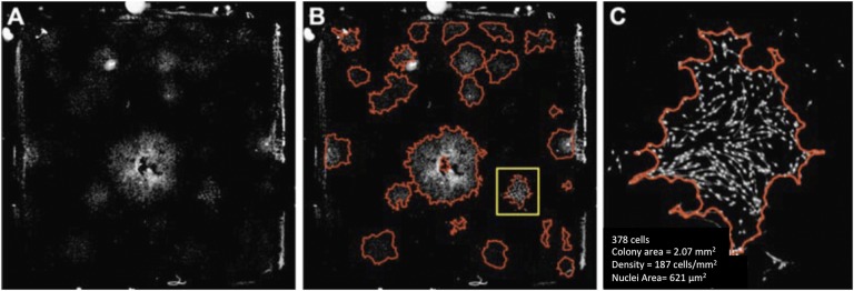 Fig. 2