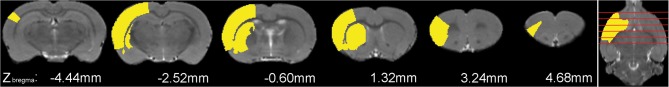 Fig. 2