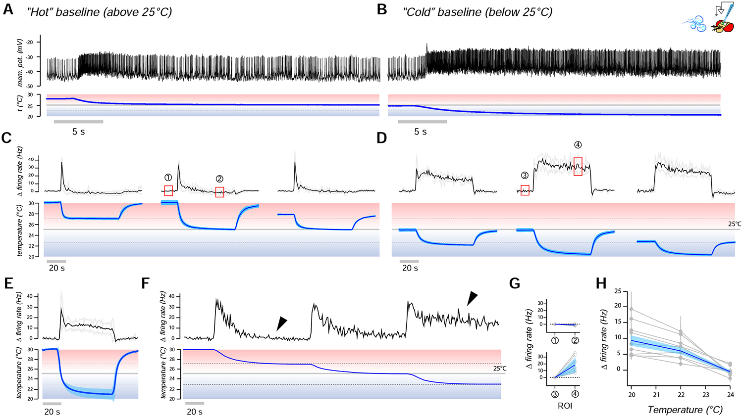 FIGURE 2 |