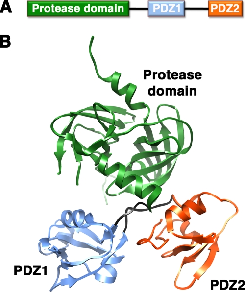 FIG. 1.