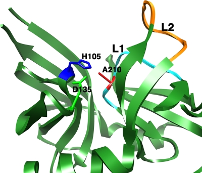 FIG. 7.