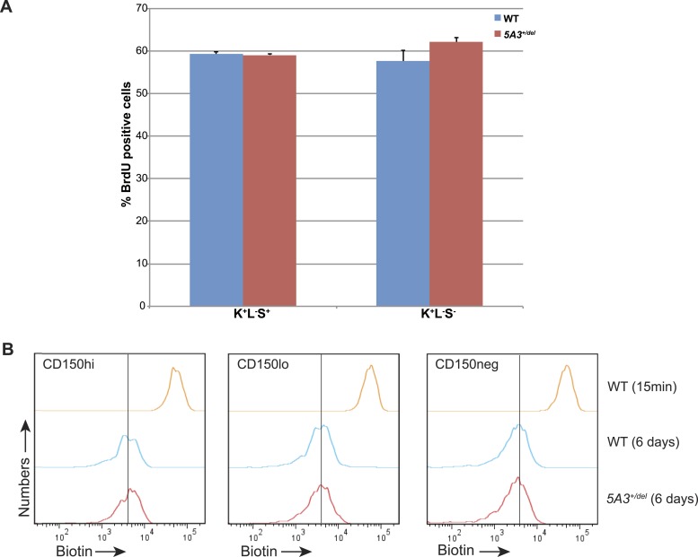 Figure 2—figure supplement 1.