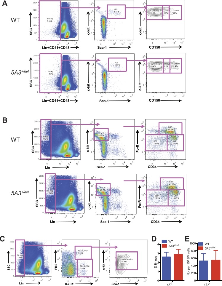 Figure 1—figure supplement 1.