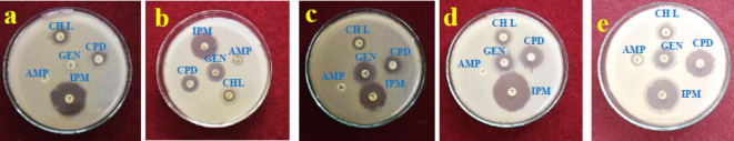 Fig. 13