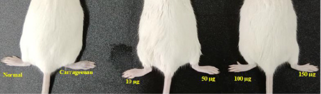 Fig. 28