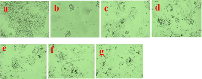 Fig. 23