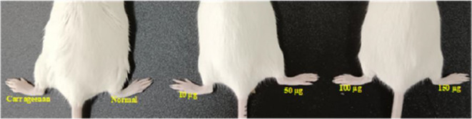 Fig. 29