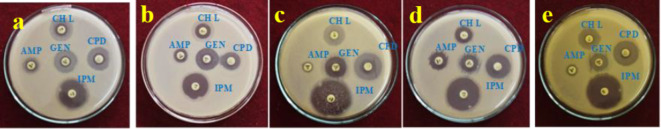 Fig. 14