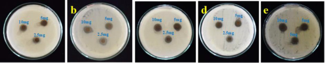 Fig. 16