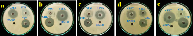 Fig. 15