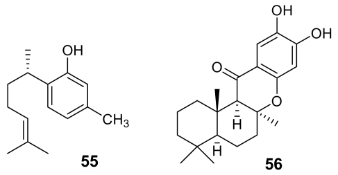 Figure 20