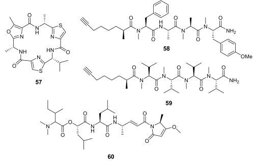 Figure 21