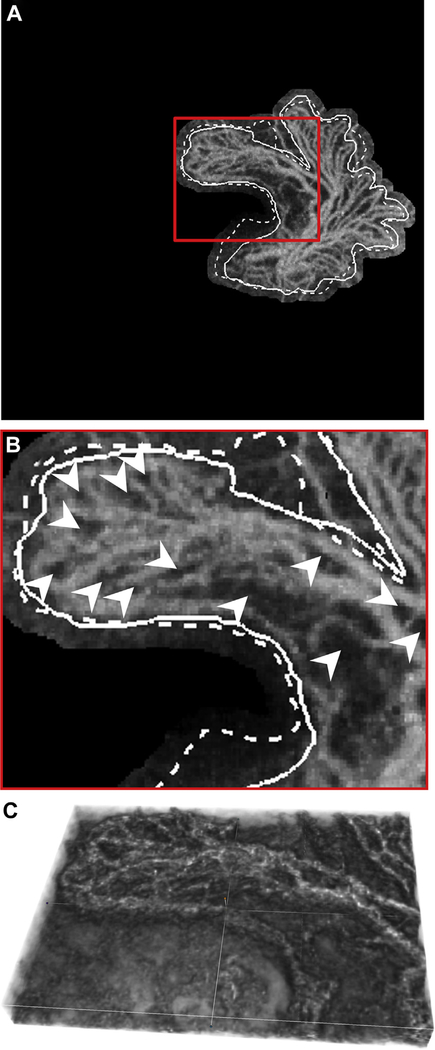 Figure 9.