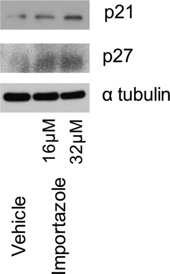 Fig. S5.