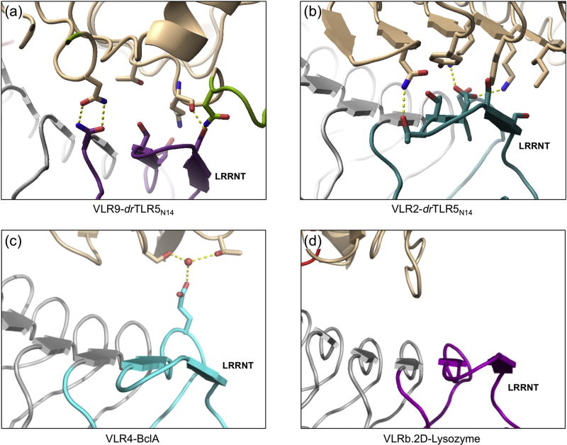 Fig. 8