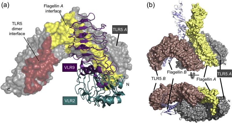 Fig. 6