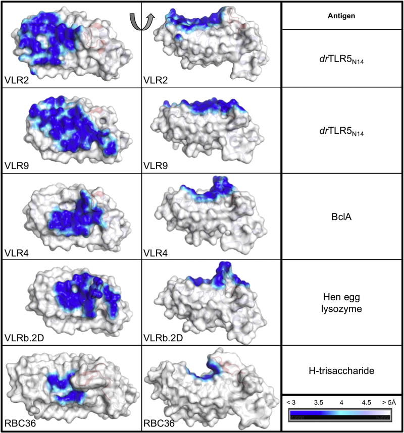 Fig. 7