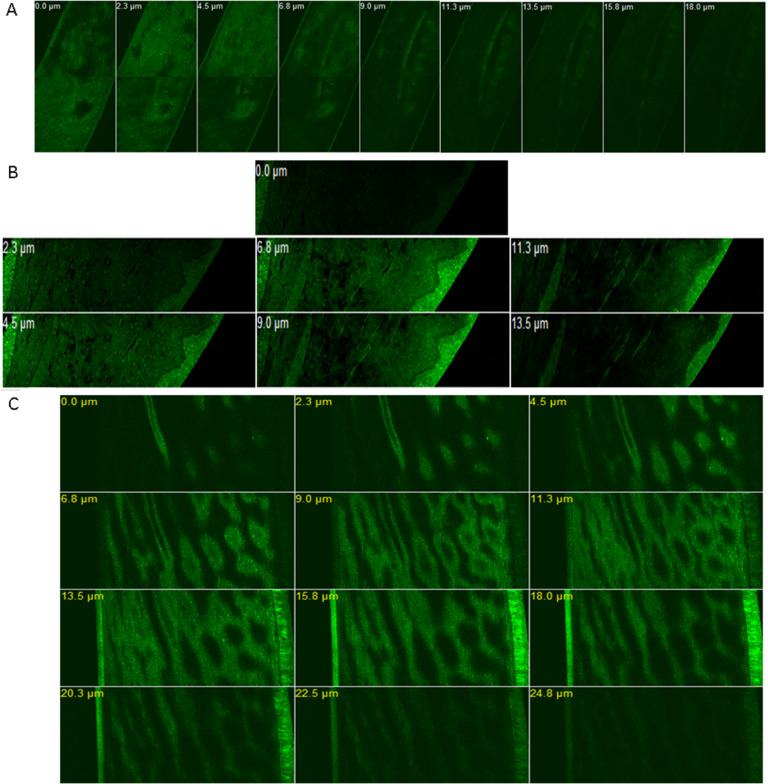 Fig 10