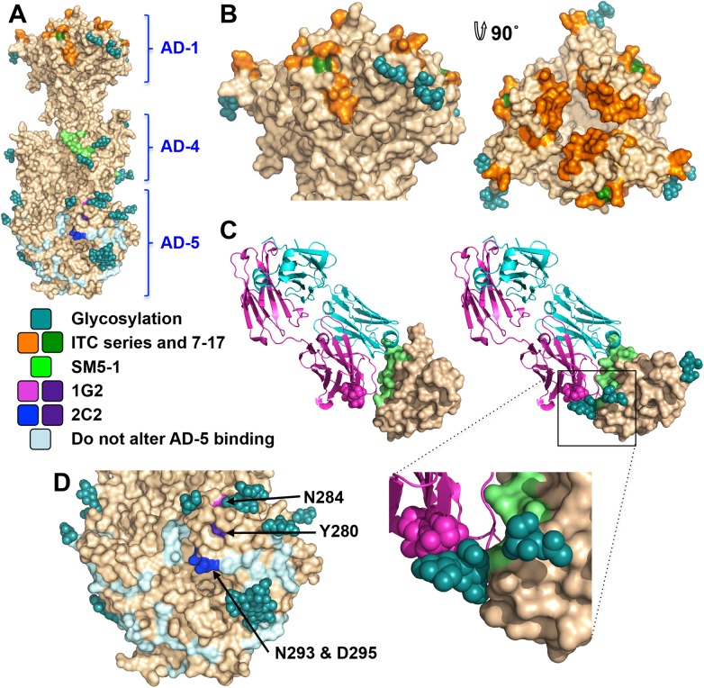 Fig 6