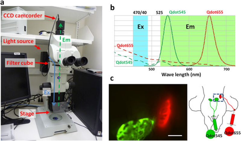 Figure 1.