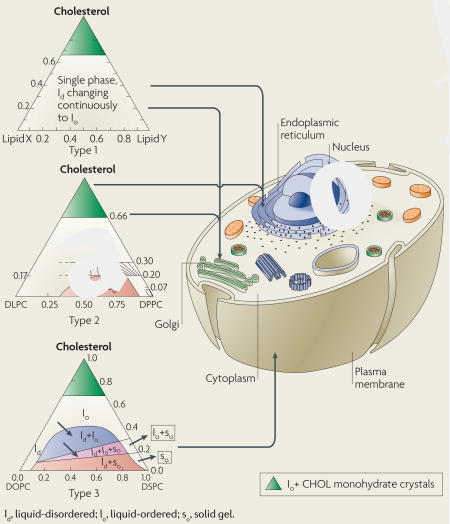 graphic file with name nihms89989u2.jpg