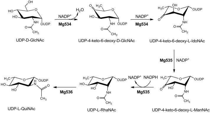 Figure 4