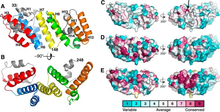 Figure 1.