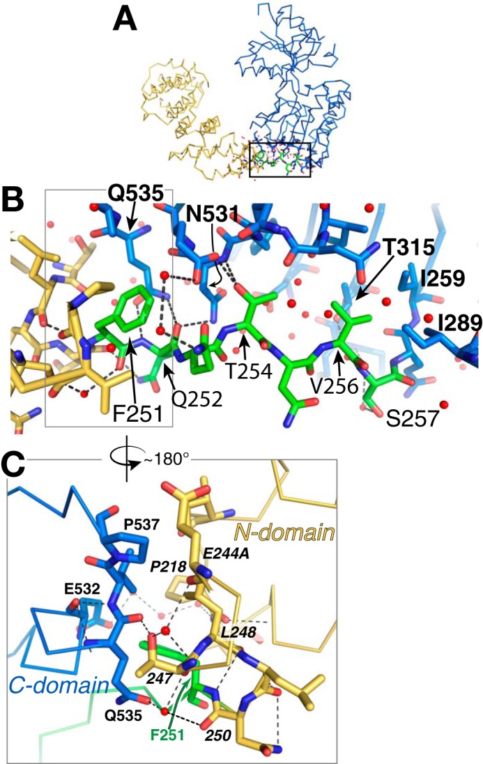 Figure 5.