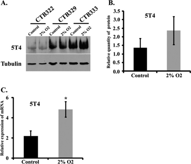 Figure 6.