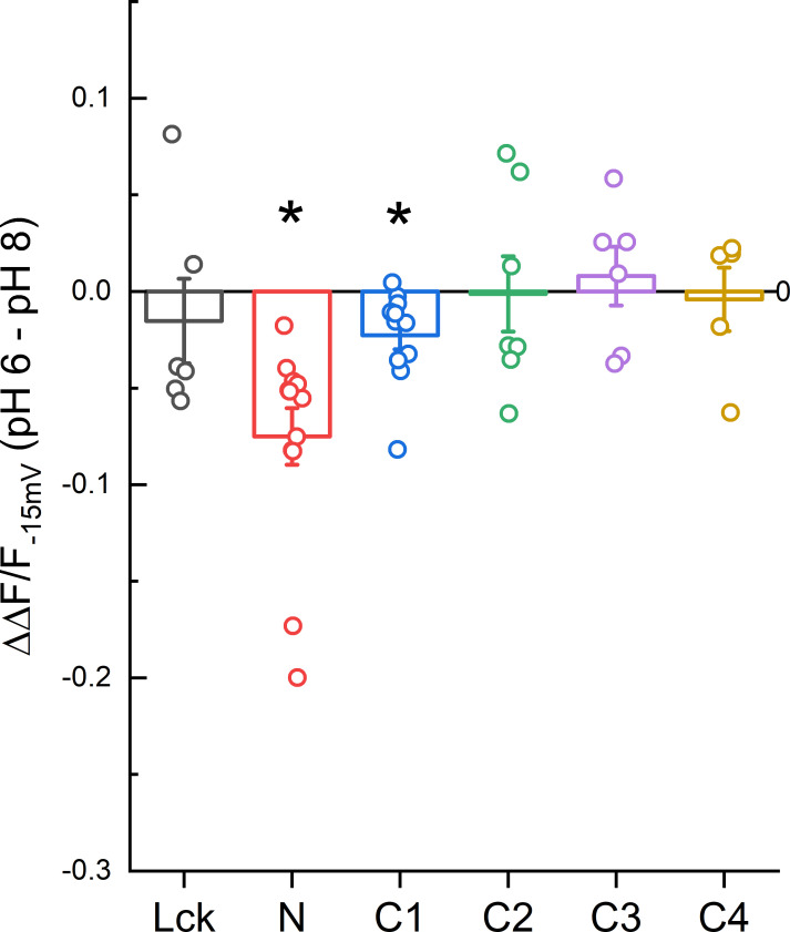 Figure 5—figure supplement 1.