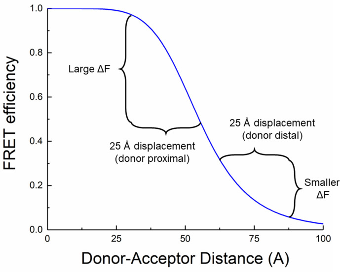 Figure 1—figure supplement 1.