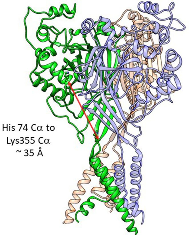 Figure 2—figure supplement 6.