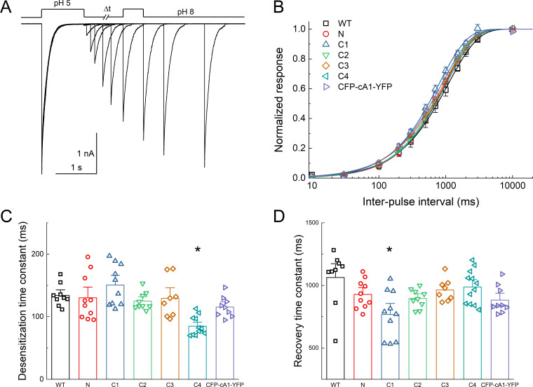 Figure 2—figure supplement 2.