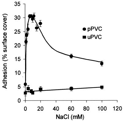 FIG. 6