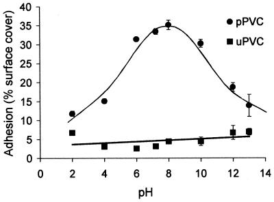 FIG. 5