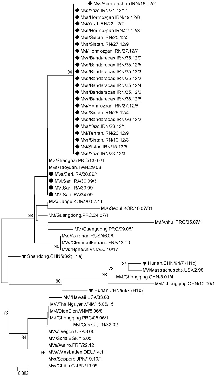 Figure 7