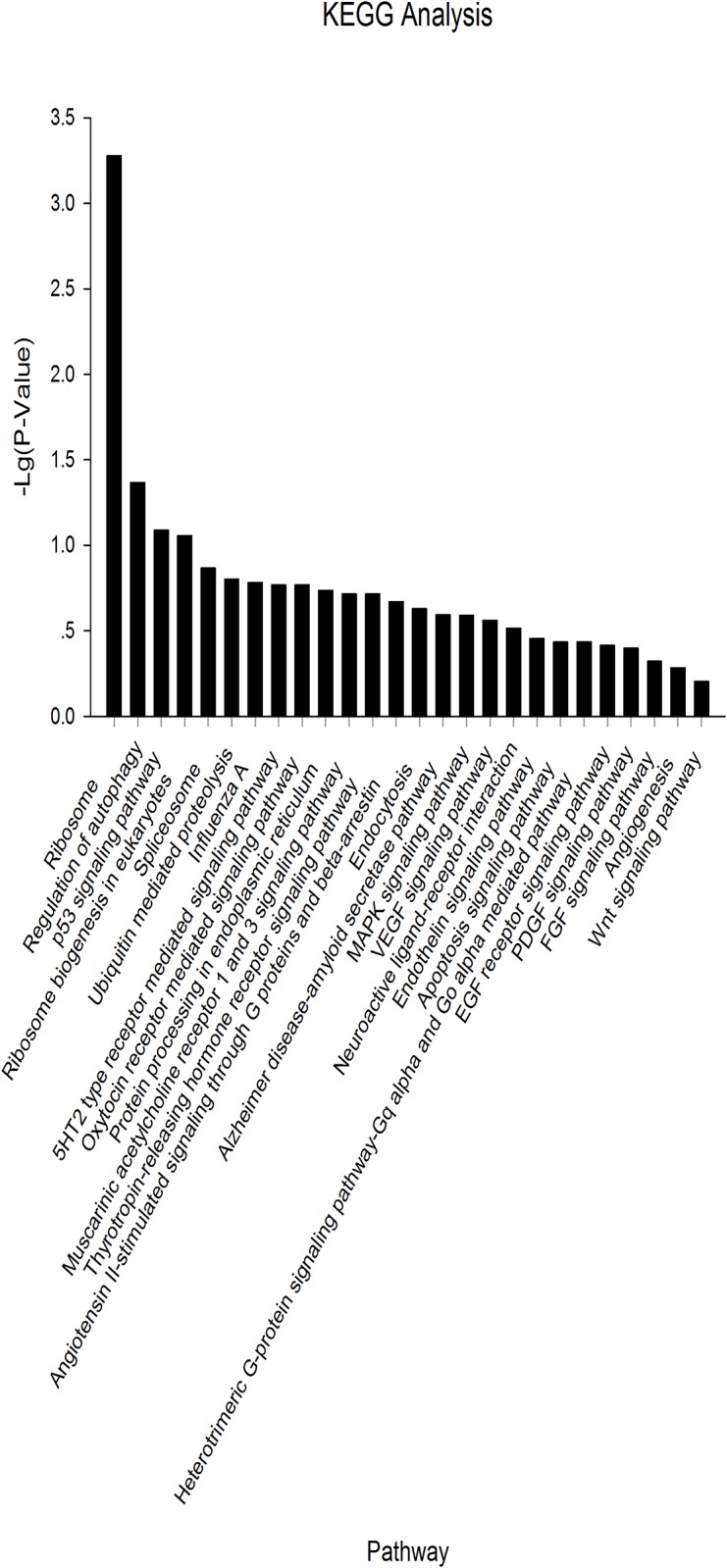 Fig 6