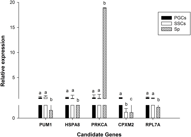 Fig 11